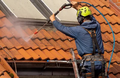 Démoussage et hydrofuge de toiture à Campneuseville